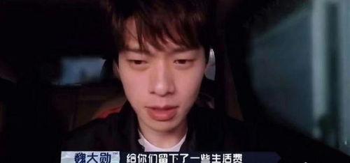 磊子连麦爆料明星视频在线观看,明星视频在线观看，揭秘娱乐圈幕后故事  第2张